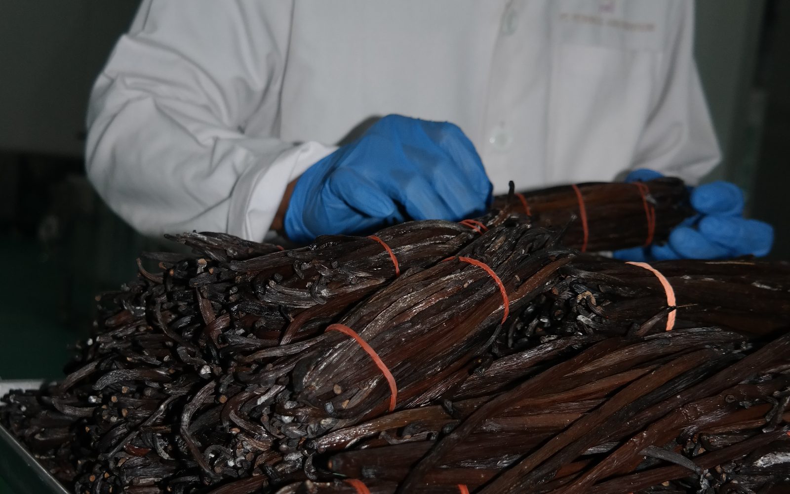 Grading and sorting cured vanilla beans