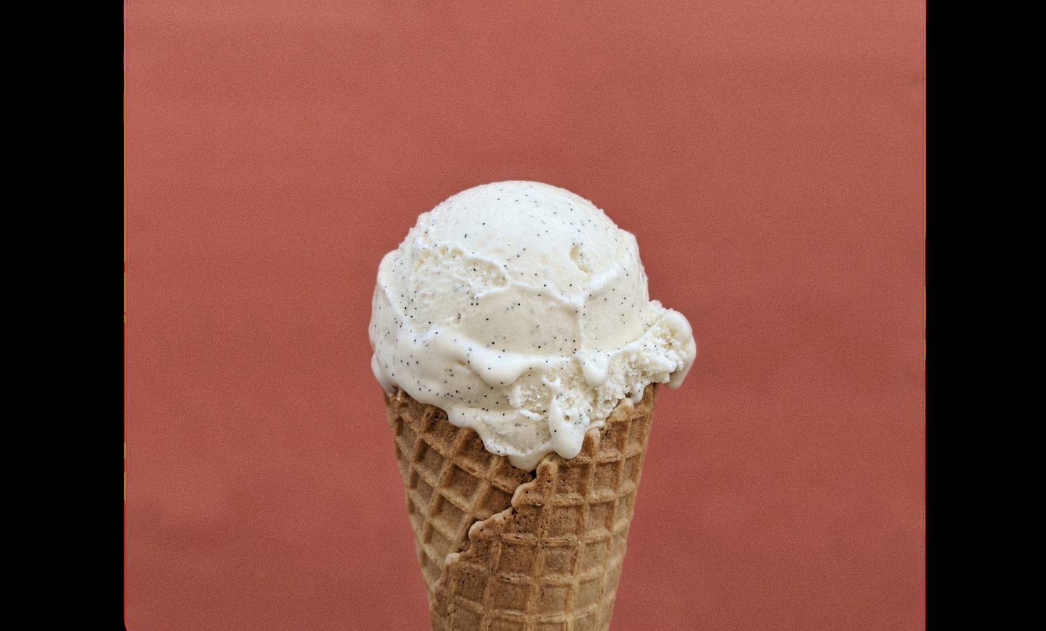 Vanilla bean ice cream made with Mighty Archie